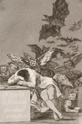 The Sleep of Reason Produces Monsters (No. 43), from Los Caprichos